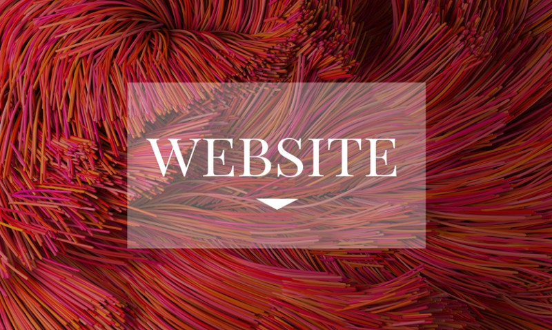 Web Hosting vs Website Builders: Which Should You Choose?