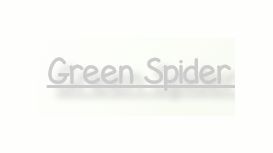 Green Spider Web Design